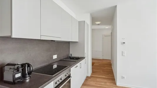 Rooms in Graz - photo 5