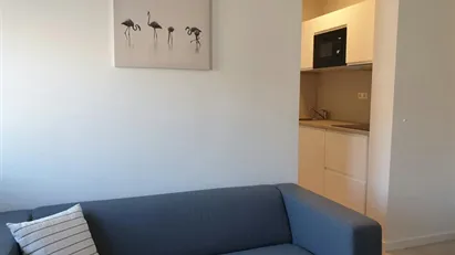Apartment for rent in Rotterdam