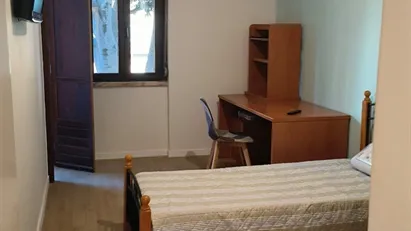 Room for rent in Lisbon (region)