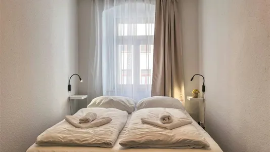 Apartments in Meissen - photo 8