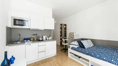 Apartment for rent in Frankfurt (region)