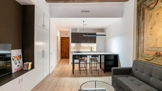 Apartments in Barcelona Ciutat Vella - photo 3