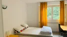 Room for rent, Gex, Auvergne-Rhône-Alpes, Rue de Meyrin