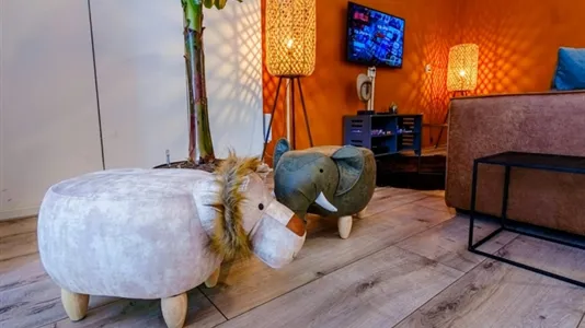 Apartments in Groningen - photo 8