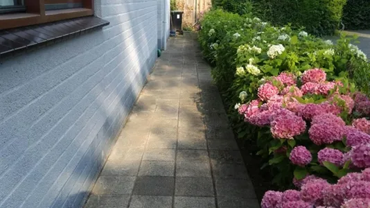 Rooms in Dordrecht - photo 8