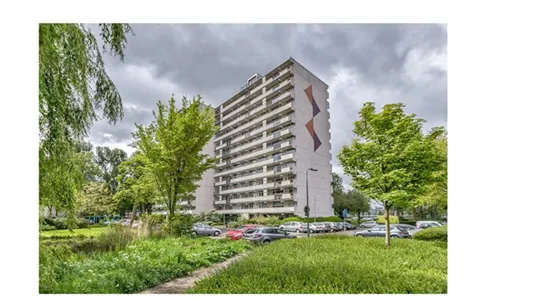 Rooms in Capelle aan den IJssel - photo 4