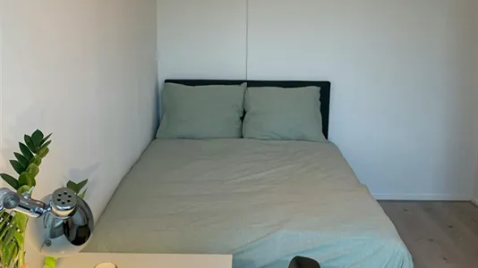 Rooms in Rotterdam Delfshaven - photo 8