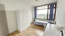 Room for rent, Capelle aan den IJssel, South Holland, Dotterlei