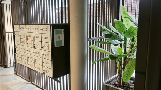 Apartments in Delft - photo 7