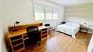 Room for rent, Húmera-Somosaguas-Prado del Rey, Comunidad de Madrid, Avenida de la Victoria