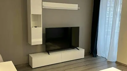 Apartment for rent in Budapest Józsefváros, Budapest