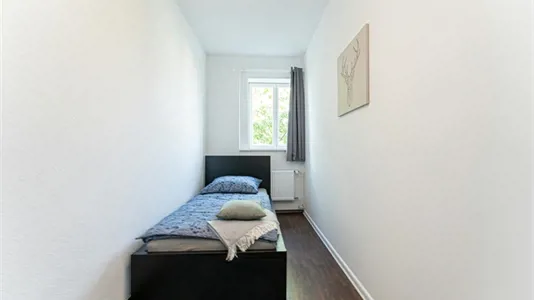 Rooms in Berlin Treptow-Köpenick - photo 3