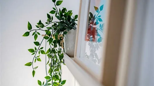 Rooms in Madrid Tetuán - photo 5