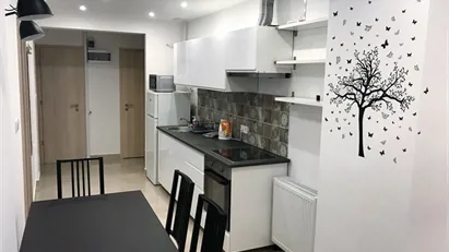 Apartment for rent in Budapest Ferencváros, Budapest