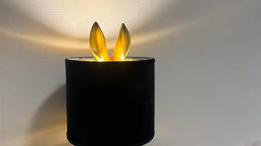 Rooms in Schiedam - photo 9