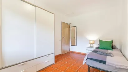 Room for rent in Cerdanyola del Vallès, Cataluña