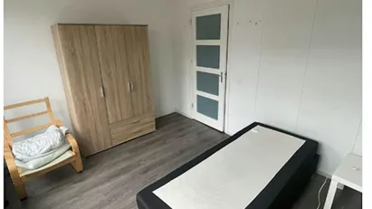 Room for rent in Rotterdam