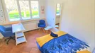 Room for rent, Bonn, Nordrhein-Westfalen, Poppelsdorfer Allee