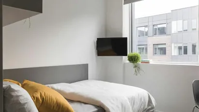 Room for rent in Dublin 1, Dublin