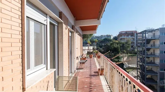 Rooms in Roma Municipio VIII – Appia Antica - photo 5