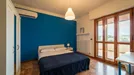 Room for rent, Florence, Toscana, Piazza Augusto Conti