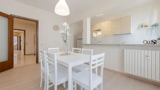 Rooms in Padua - photo 9