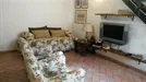 Apartment for rent, Pisa, Toscana, Via Giuseppe Giusti