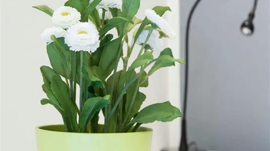 Rooms in Milano Zona 2 - Stazione Centrale, Gorla, Turro, Greco, Crescenzago - photo 10