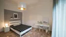 Room for rent, Florence, Toscana, Via dello Statuto