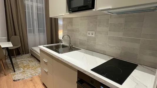 Apartments in Budapest Erzsébetváros - photo 4