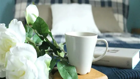 Rooms in Milano Zona 5 - Vigentino, Chiaravalle, Gratosoglio - photo 3