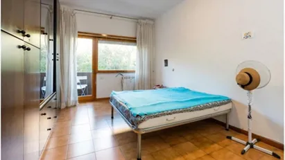 Room for rent in Roma Municipio VIII – Appia Antica, Rome