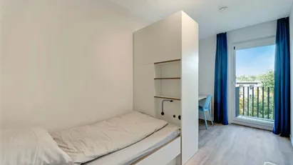 Room for rent in Berlin Treptow-Köpenick, Berlin