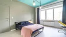 Room for rent, Brussels Sint-Lambrechts-Woluwe, Brussels, Avenue Paul Hymans