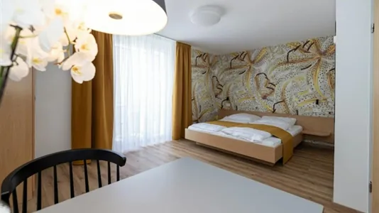 Apartments in Freiburg im Breisgau - photo 1