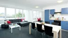 Apartment for rent, Zug, Zug (Kantone), Luzernerstrasse