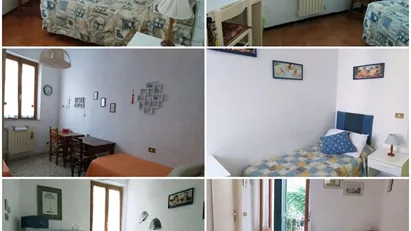 Room for rent in Siena, Toscana