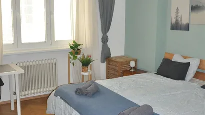 Apartment for rent in Vienna Innere Stadt, Vienna