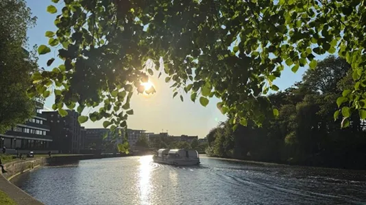 Apartments in Berlin Mitte - photo 10