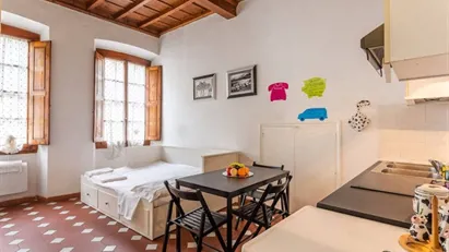 Apartment for rent in Florence, Toscana