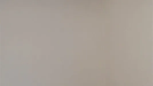 Rooms in Roma Municipio II – Parioli/Nomentano - photo 3