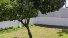 House for rent, Almada, Setúbal (Distrito), Rua das Pinhas