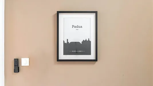 Rooms in Padua - photo 8