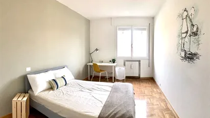 Room for rent in Padua, Veneto