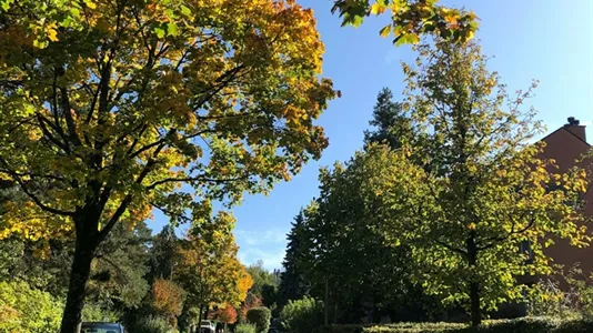 Rooms in Bülach - photo 9