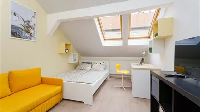 Apartment for rent in Prague