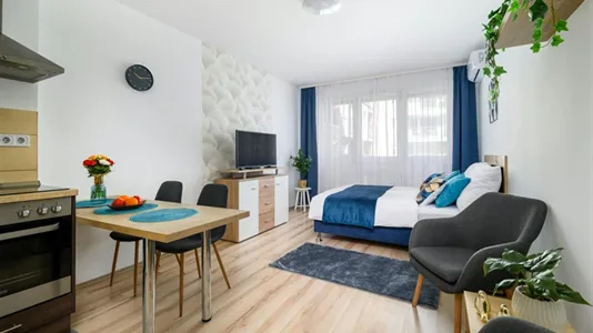 Apartments in Budapest Ferencváros - photo 2
