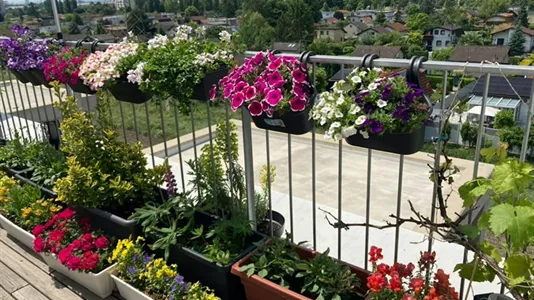 Apartments in Vienna Floridsdorf - photo 1