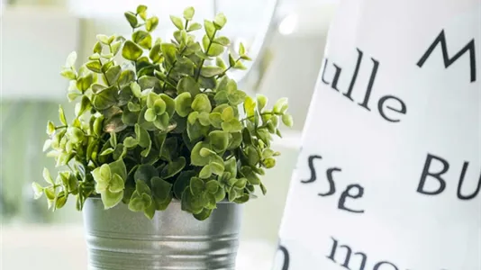 Rooms in Milano Zona 8 - Fiera, Gallaratese, Quarto Oggiaro - photo 10