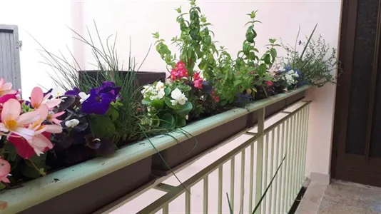 Apartments in Riva del Garda - photo 8